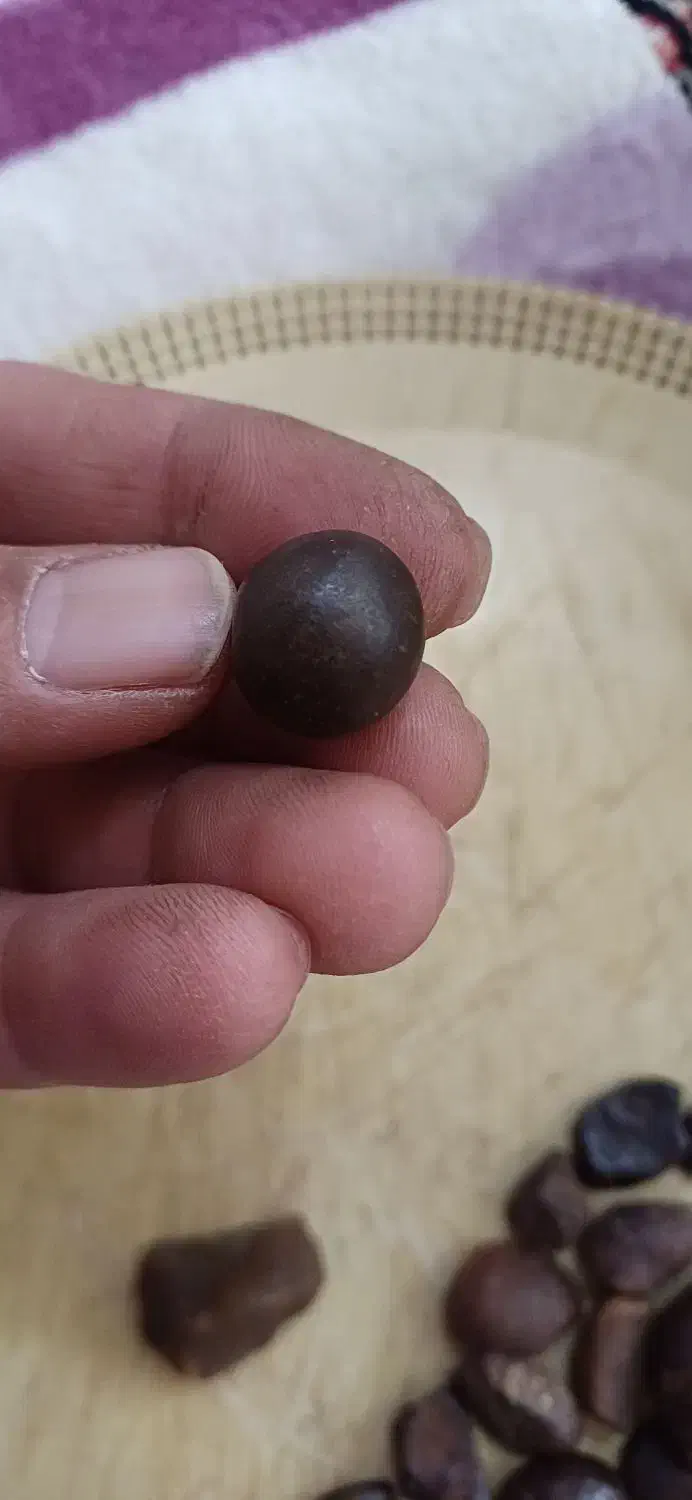 شهاب|کلکسیون اشیاء عتیقه|شیروان (خراسان), |دیوار