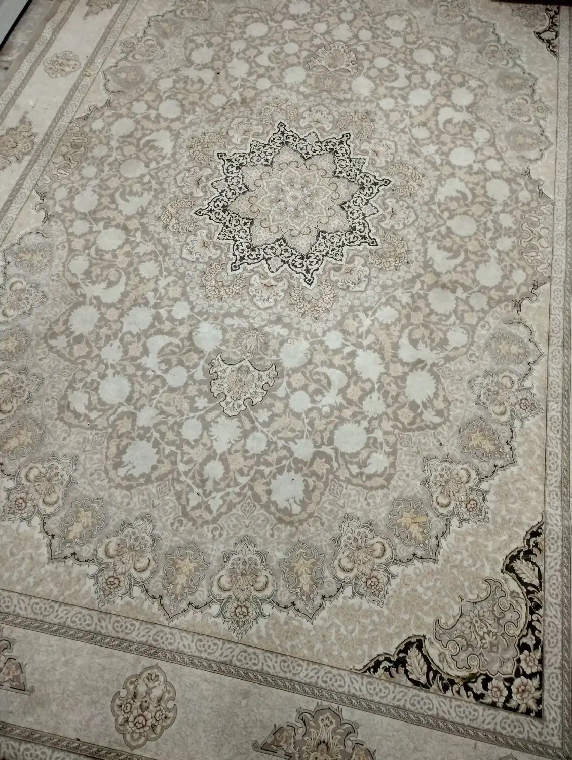 فرش|فرش|کرج, شهرک پردیسان|دیوار