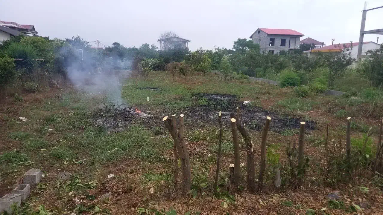 فروش زمین مسکونی در منطقه آزاد  چالکرودرامسر|فروش زمین و ملک کلنگی|دالخانی, |دیوار