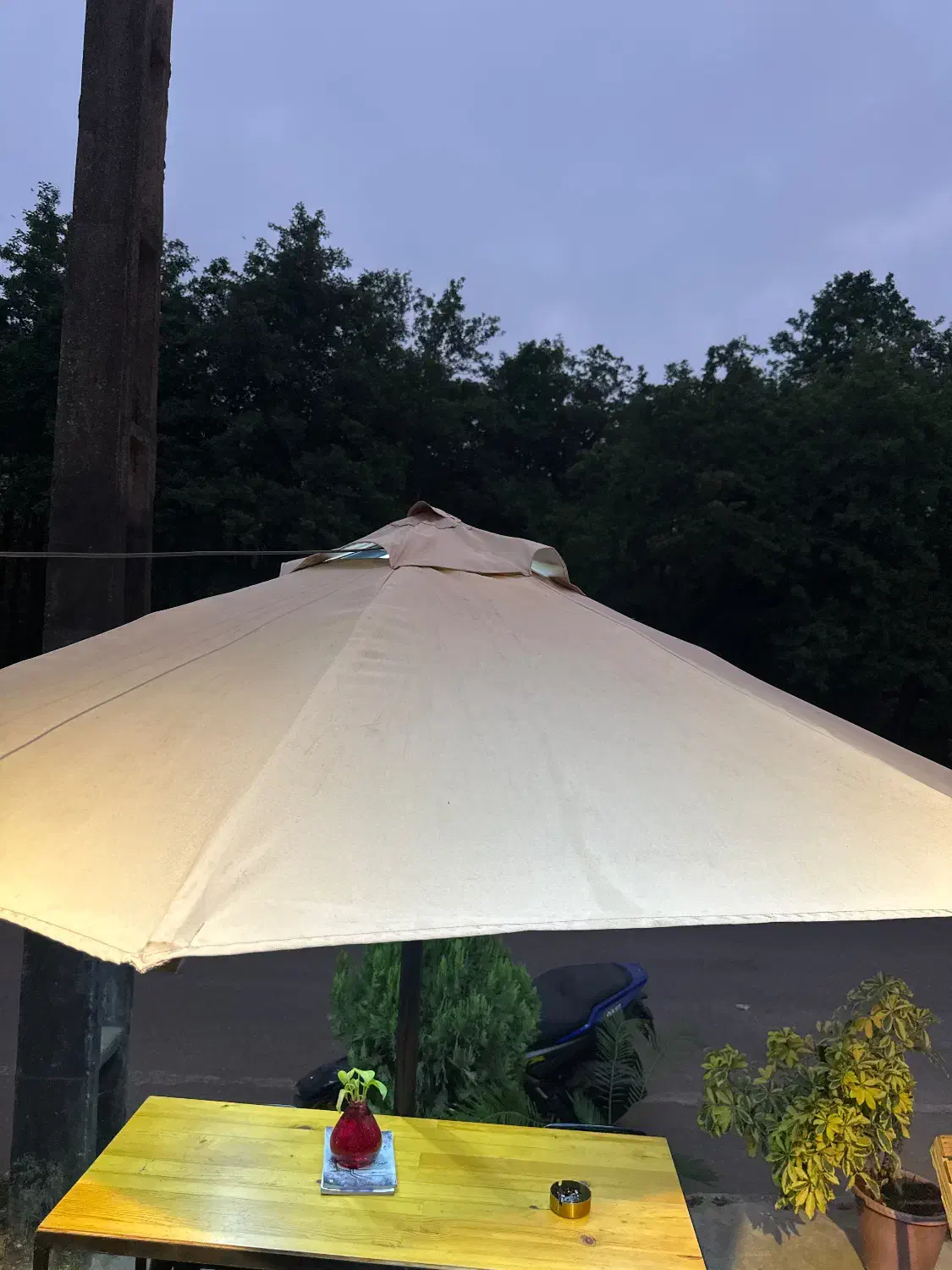 فروش چتر میز وصندلی|کافی‌شاپ و رستوران|کیاشهر, |دیوار