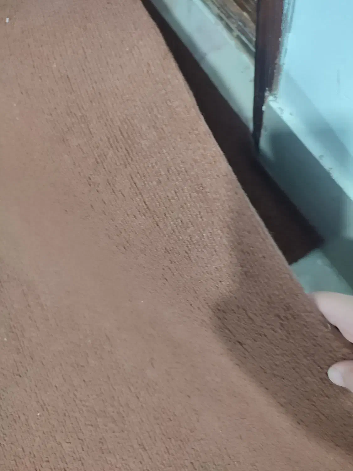 موکت تمییز|موکت|گنبد کاووس, |دیوار