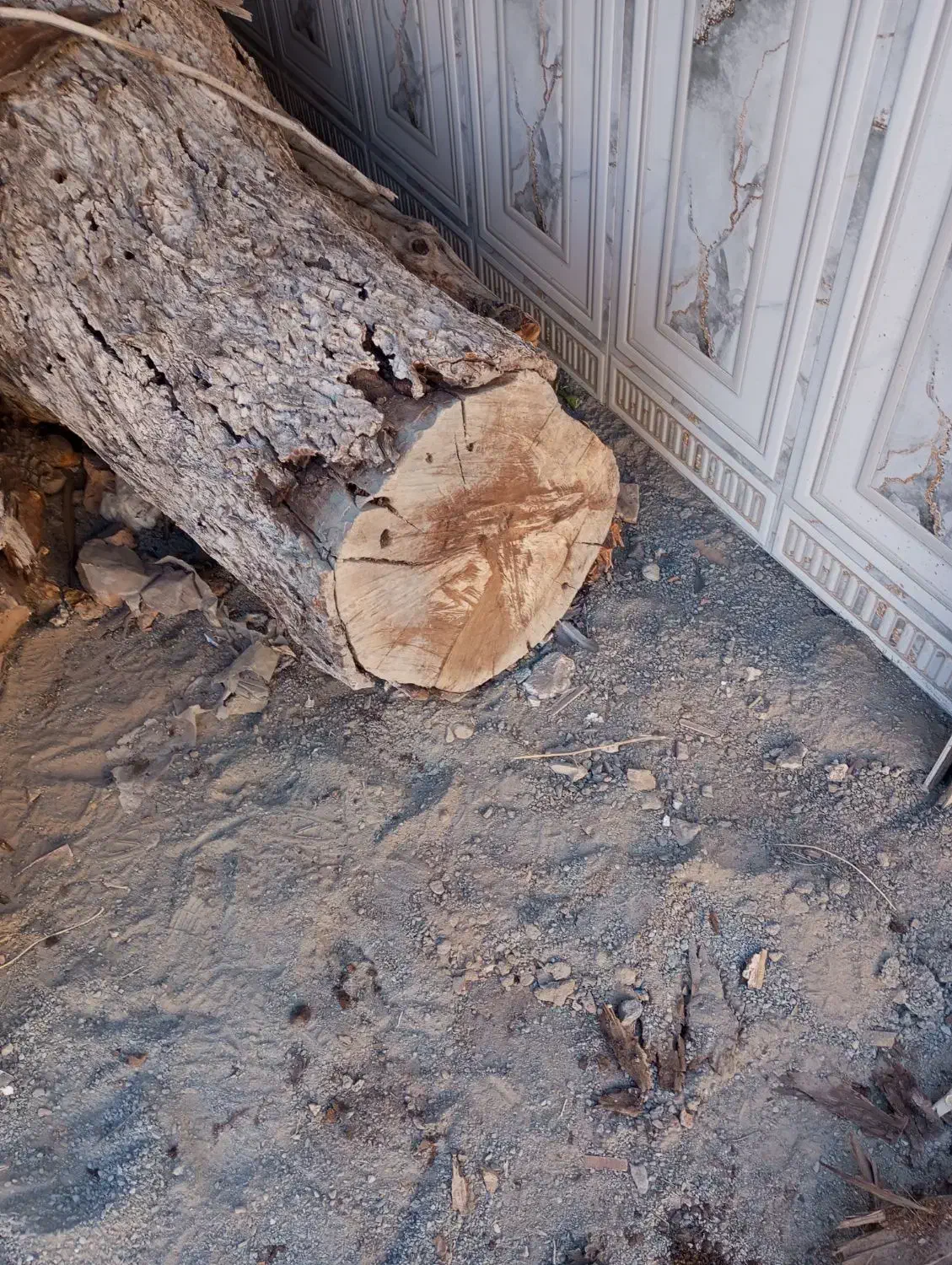 چوب گردو|مصالح و تجهیزات ساختمان|بیرجند, |دیوار