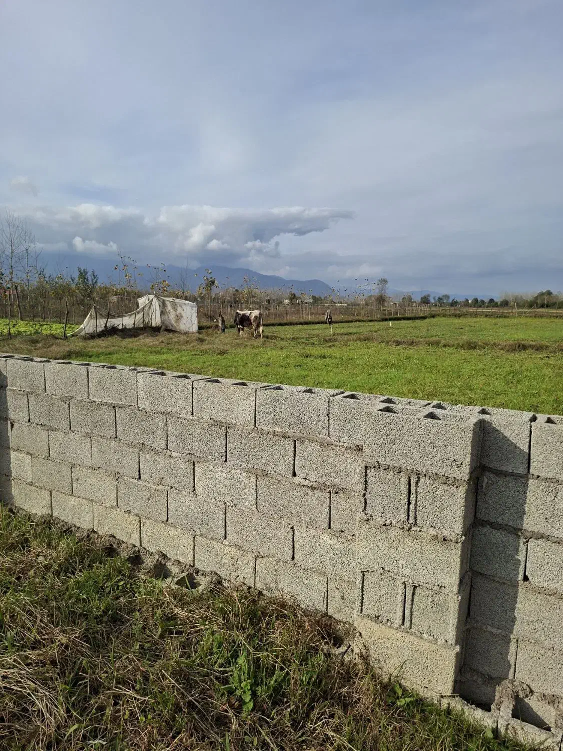 ۴۰۰متر مسکونی و باغات با مجوز ساخت روستای میانبر|فروش زمین و ملک کلنگی|گوراب زرمیخ, |دیوار