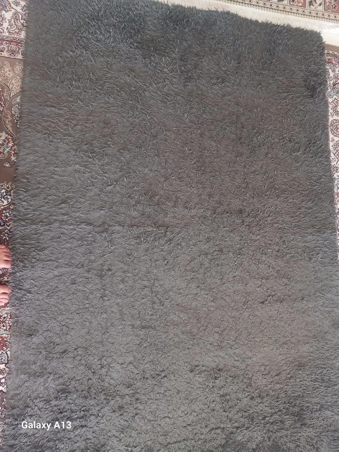 موکت نرم پرز بلند|موکت|زنجان, |دیوار