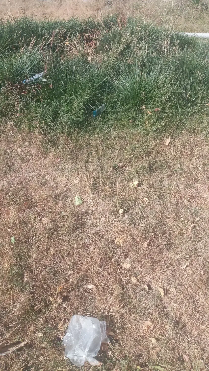 یونجه لشکری|لوازم جانبی حیوانات|زنجان, |دیوار