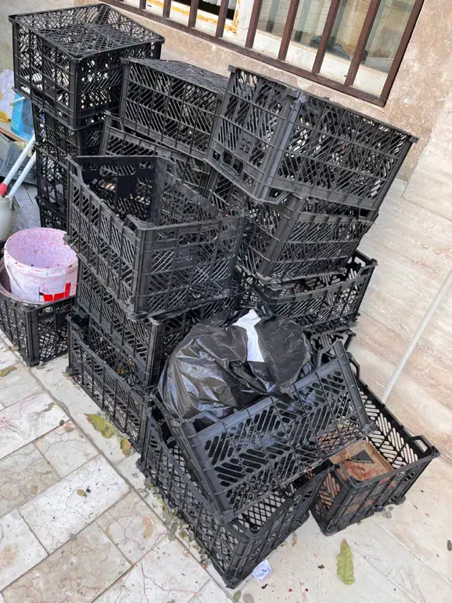 سبد میوه|ظروف نگهدارنده، پلاستیکی، یک‌بارمصرف|دماوند, گیلاوند|دیوار