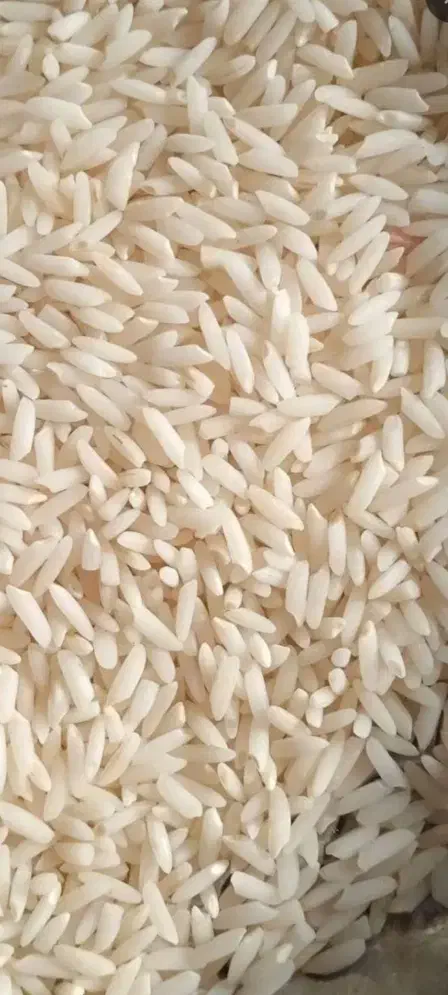 برنج.سالم و نیم دانه|خوردنی و آشامیدنی|بروجرد, |دیوار