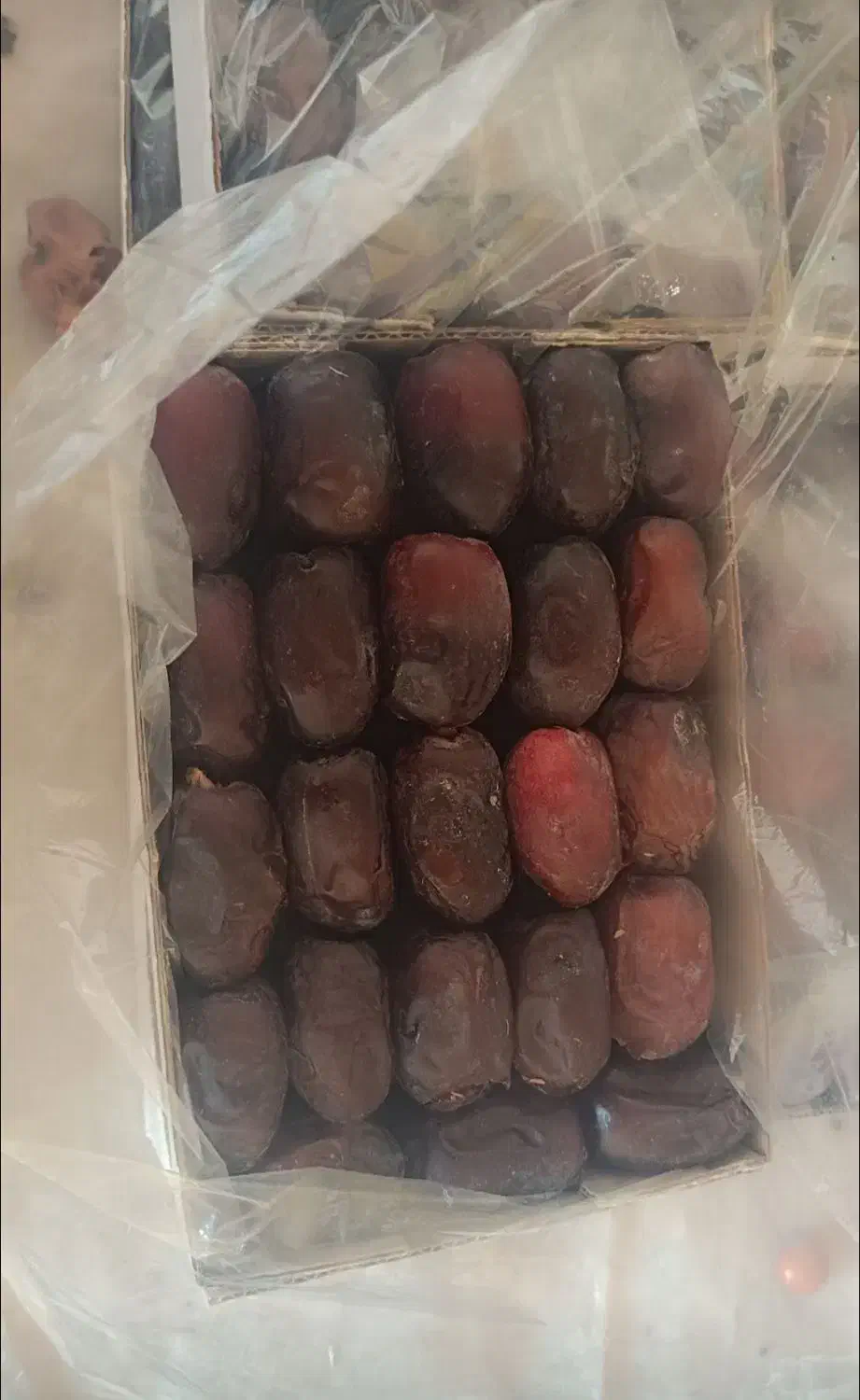 فروش خرما کتابی دو ردیف|خوردنی و آشامیدنی|سیب و سوران, |دیوار