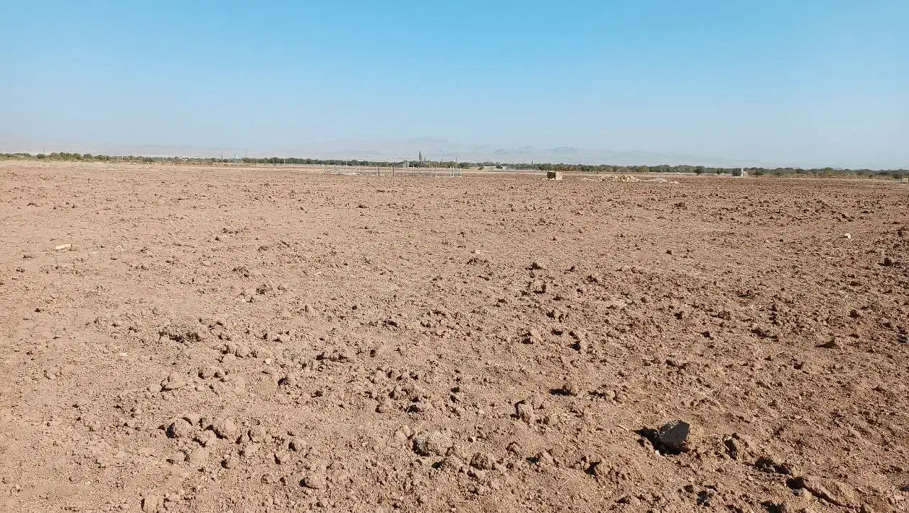 زمین کشاورزی با شرایط عالی در ضیاآباد قزوین|فروش دفتر صنعتی، کشاورزی، تجاری|ضیاء آباد, |دیوار