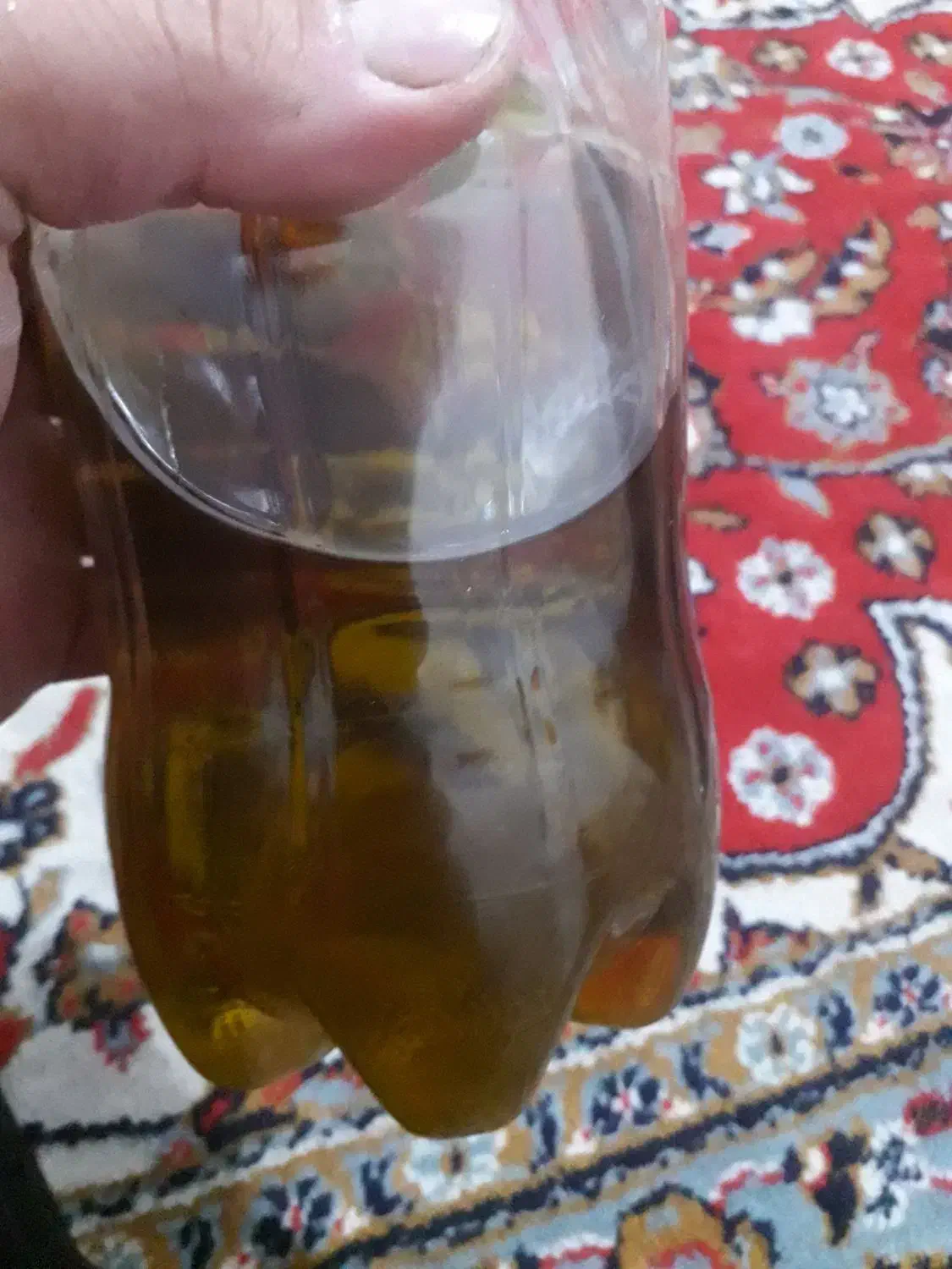 روغن زیتون|خوردنی و آشامیدنی|رشت, گیل|دیوار