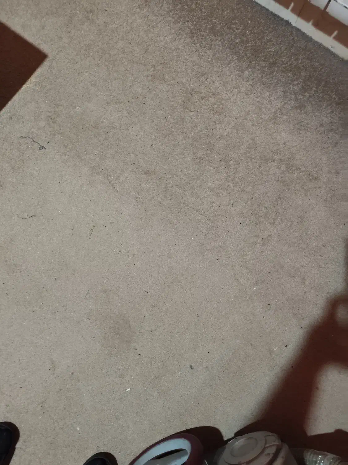 موکت|موکت|اصفهان, فیض|دیوار