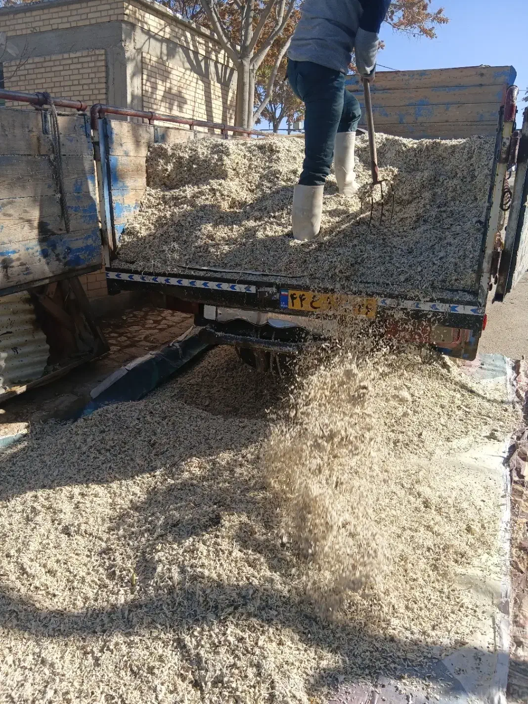 تفاله چغندر دونم ،آبکی،خشک|لوازم جانبی حیوانات|آشخانه, |دیوار