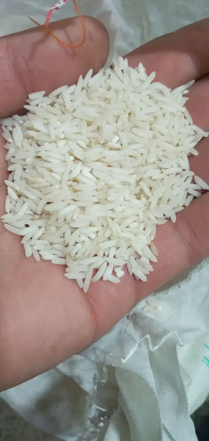 برنج هاشمی درجه یک شمال|خوردنی و آشامیدنی|اردبیل, |دیوار