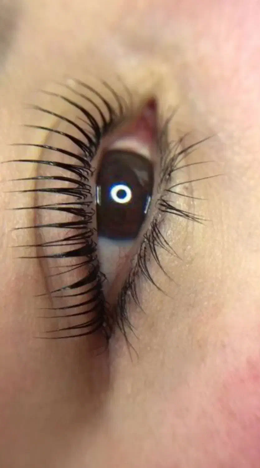 لیفت و لمینت مژه و ابرو و کاشت هیدن|خدمات آرایشگری و زیبایی|برازجان, |دیوار