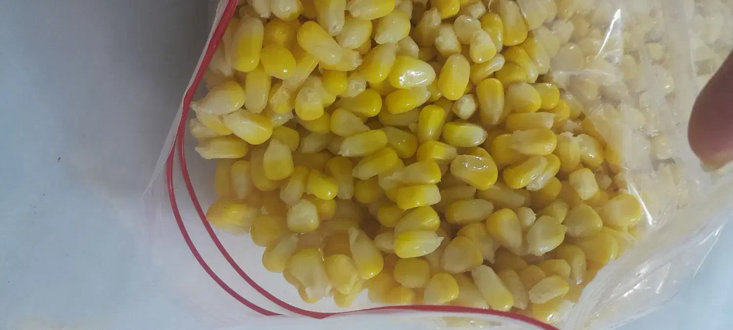 ذرت و بلال دون شده|خوردنی و آشامیدنی|قم, بنیاد|دیوار