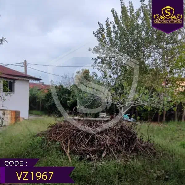 خانه کلنگی 730 متری در منطقه ازاد|فروش خانه و ویلا|رشت, هلال احمر|دیوار