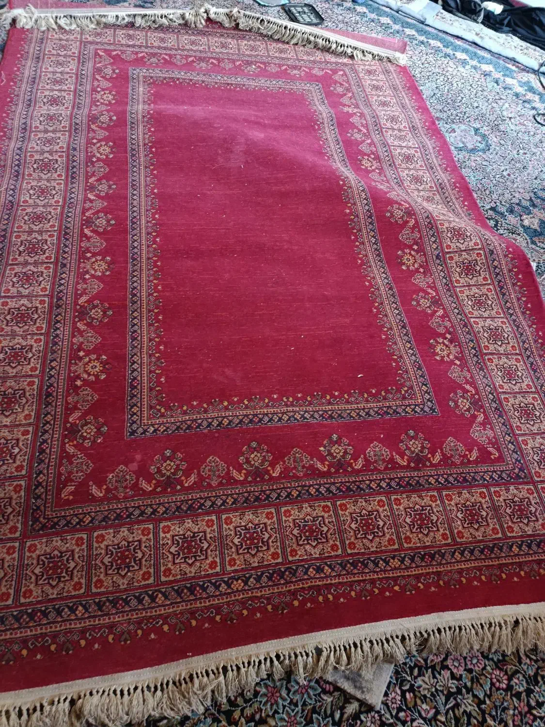 قالی طرح سنتی درحدنو|فرش|کرمان, |دیوار