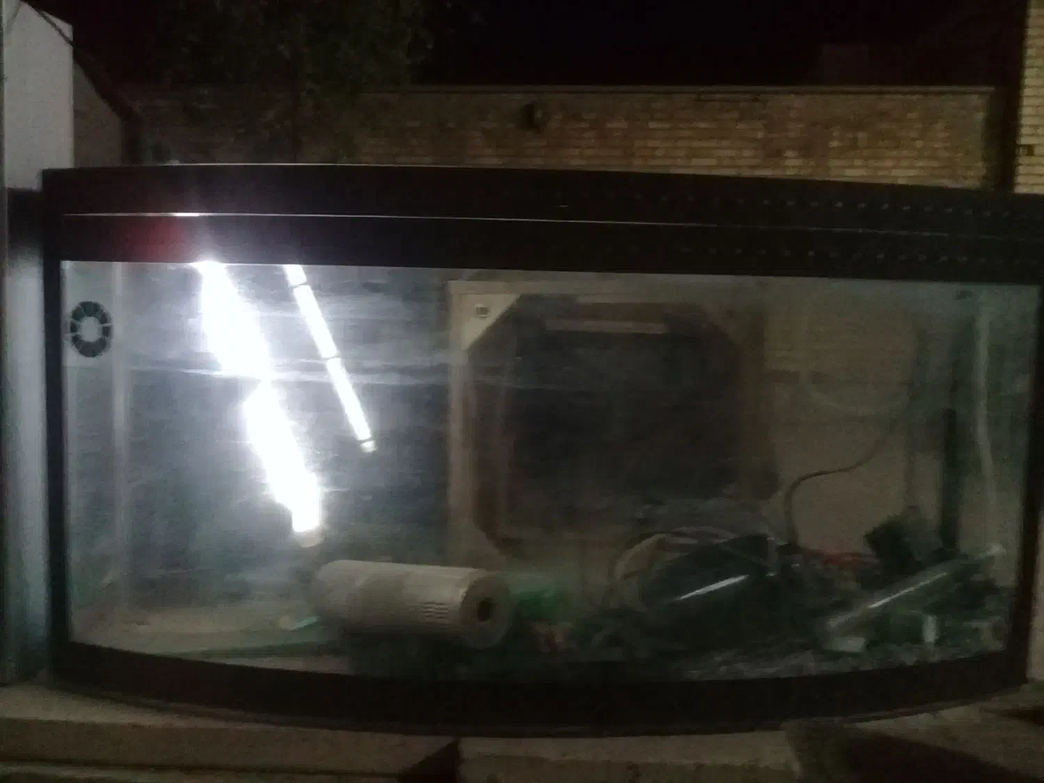 آکواریوم آب شیرین|ماهی|خمینیشهر, |دیوار