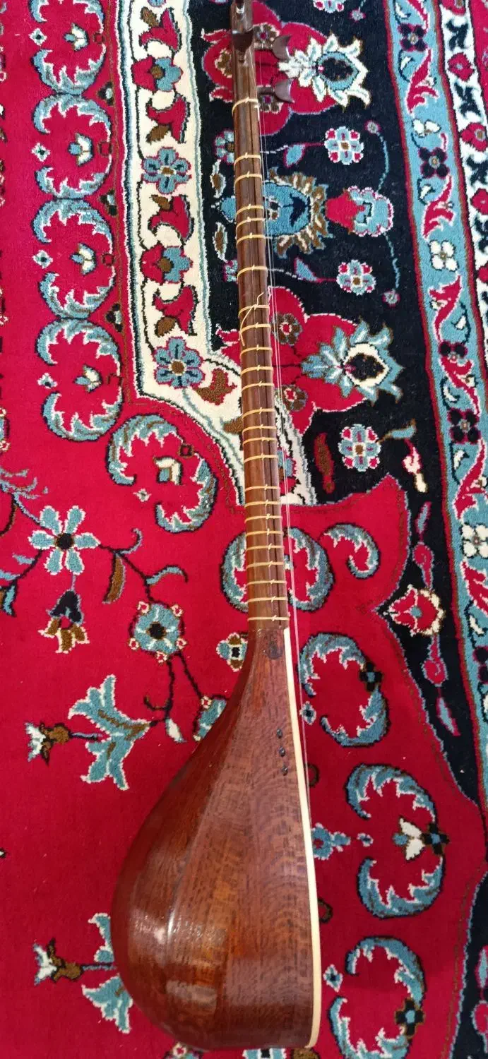 سه تار|سازهای سنتی|سبزوار, باهنر|دیوار