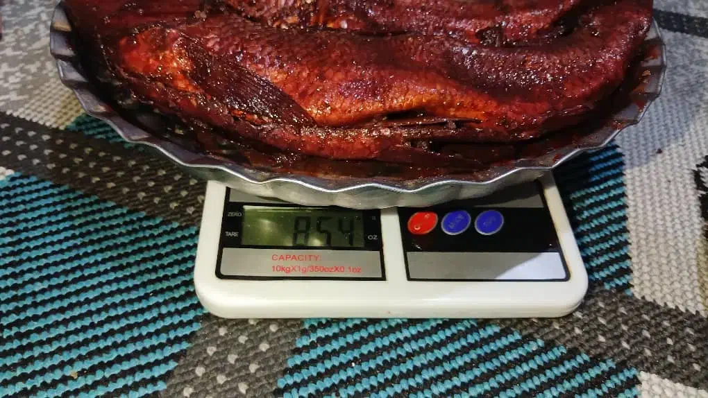 دو عدد ماهی شور|ماهی|حویق, |دیوار