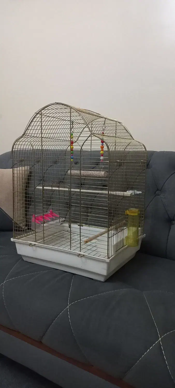 قفس|لوازم جانبی حیوانات|سهند, |دیوار