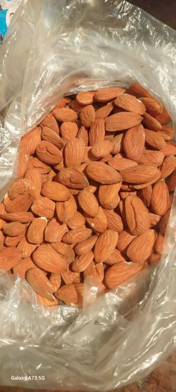 خ انواع بادام|فعالیت داوطلبانه|ناغان, |دیوار