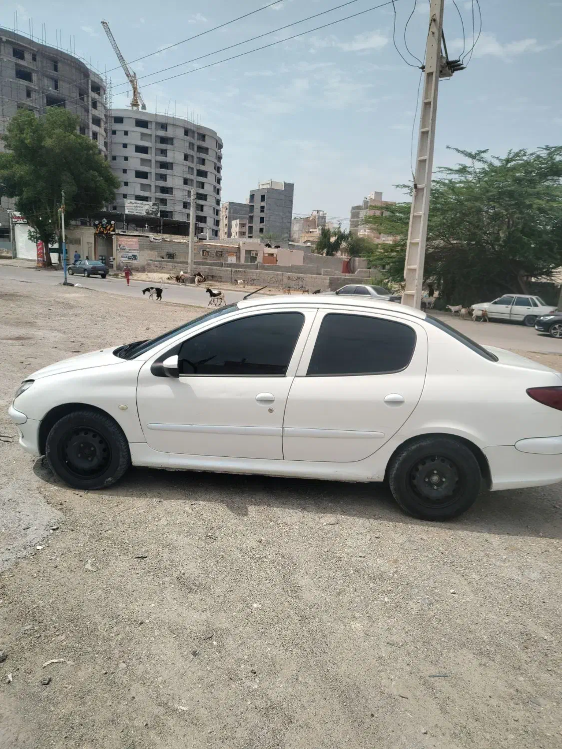 206sd|خودرو سواری و وانت|بندرعباس, |دیوار