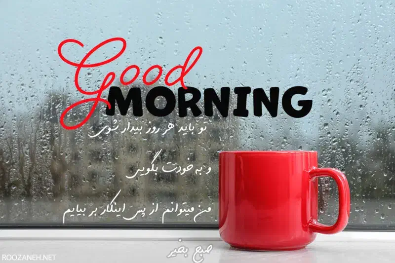 شراکت در املاک|استخدام مالی، حسابداری، حقوقی|بوشهر, |دیوار