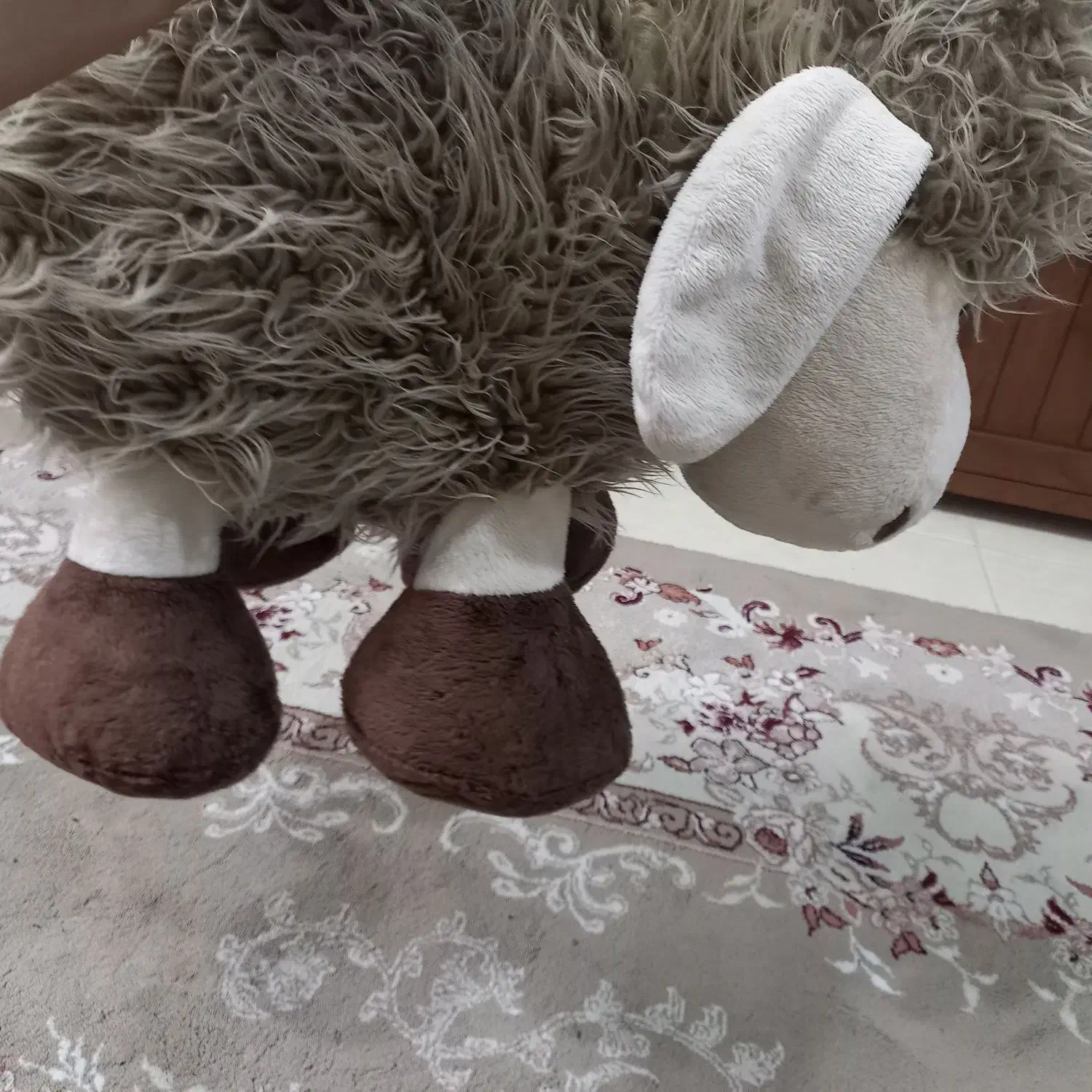 تعدادی عروسک|اسباببازی بچه|ساری, |دیوار