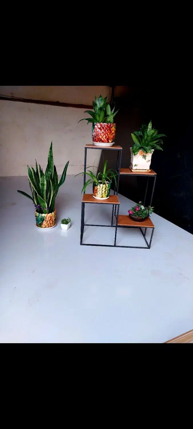 حراج استند گل|گل و گیاه طبیعی|شیراز, نصرآباد|دیوار