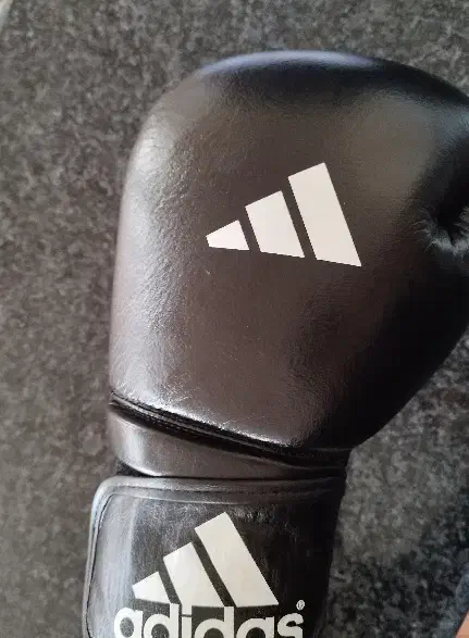 ورزشی|تجهیزات ورزشی|بوکان, |دیوار