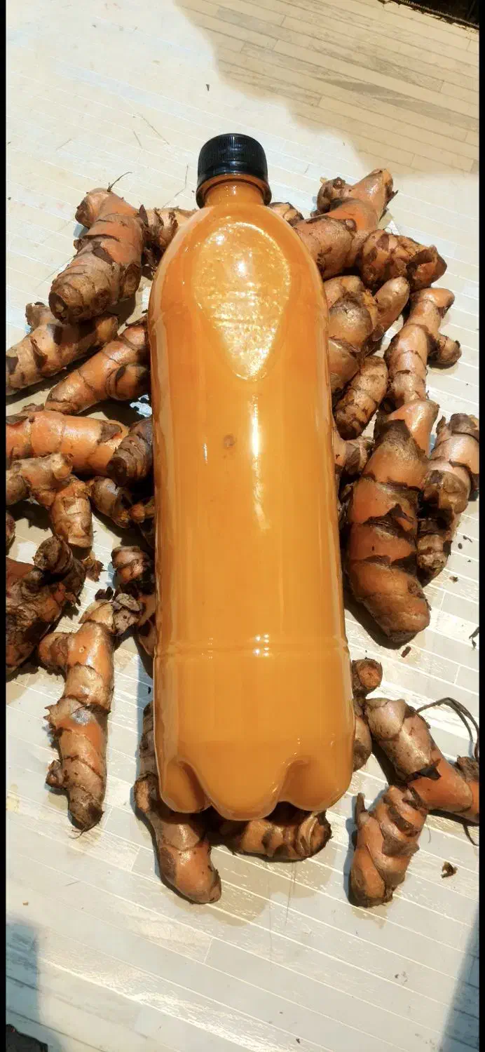 عصاره زرد چوبه تازه و زنجبیل تازه|خوردنی و آشامیدنی|شیراز, سفیرشمالی|دیوار