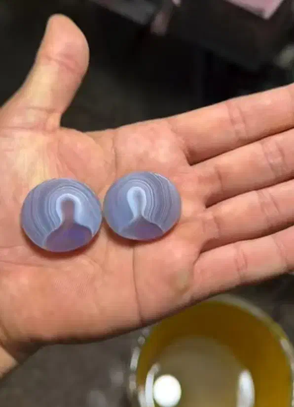 حراج شجر های قائنات با بهترین منظره زیر قیمت|جواهرات|تهران, دریاننو|دیوار