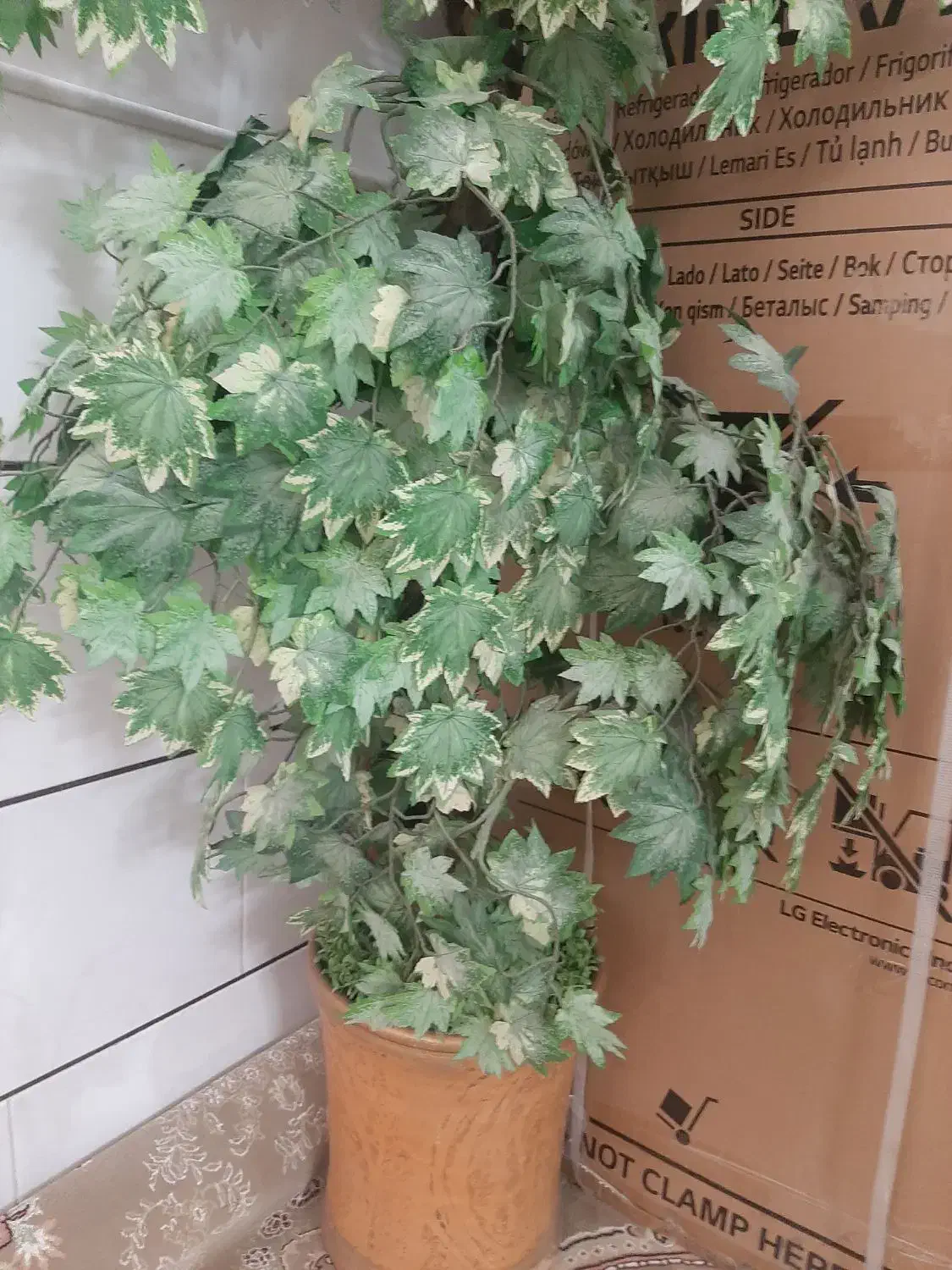 درختچه|گل مصنوعی|قم, نیروگاه|دیوار