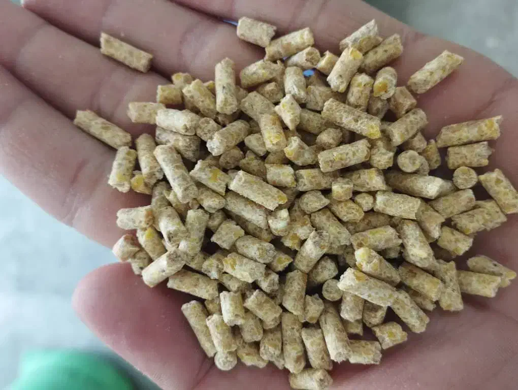 دانه پارس|عمده‌فروشی|آق قلا, |دیوار