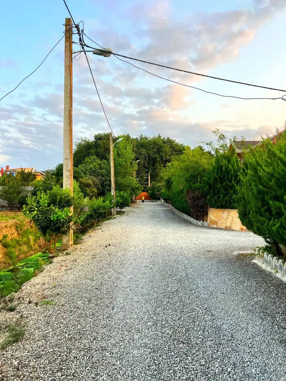 زمین  پلاک اول جنگل / به قیمت|فروش زمین و ملک کلنگی|چمستان, |دیوار