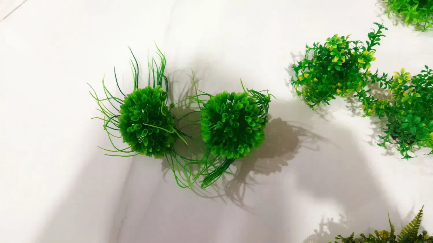 گیاه مصنوعی اکواریوم|ماهی|مشهد, چهارچشمه|دیوار