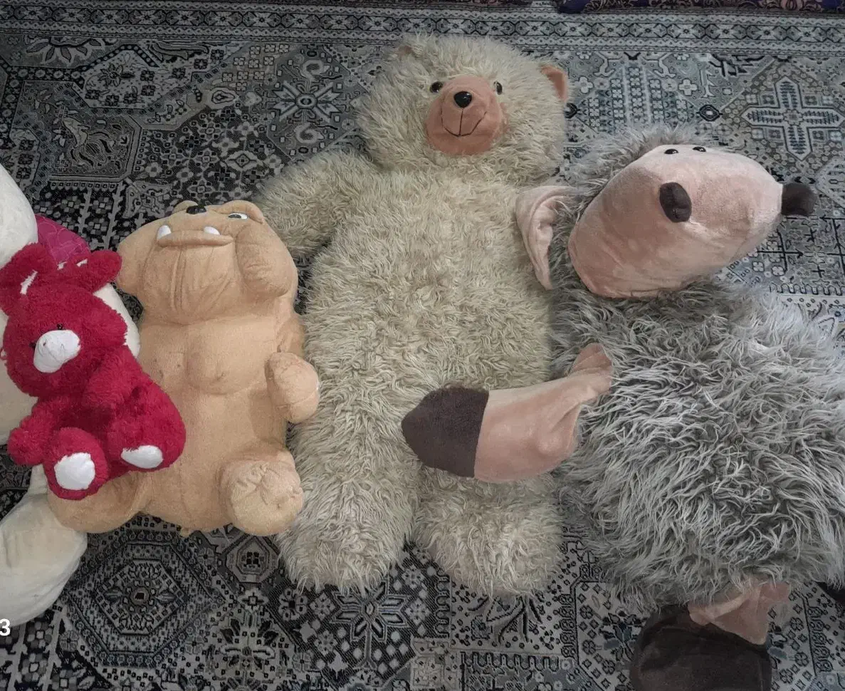 عروسک بزرگ|اسباببازی بچه|گرگان, |دیوار