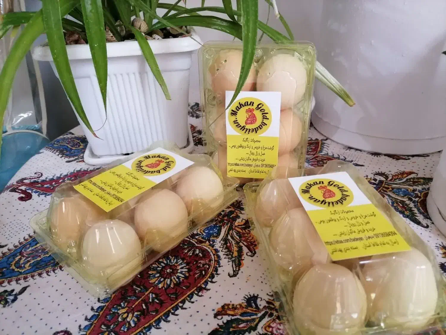 تخم مرغ بومی درشت محصولات ارگانیک ماکان گلد|خوردنی و آشامیدنی|اصفهان, قهاب جنوبی|دیوار