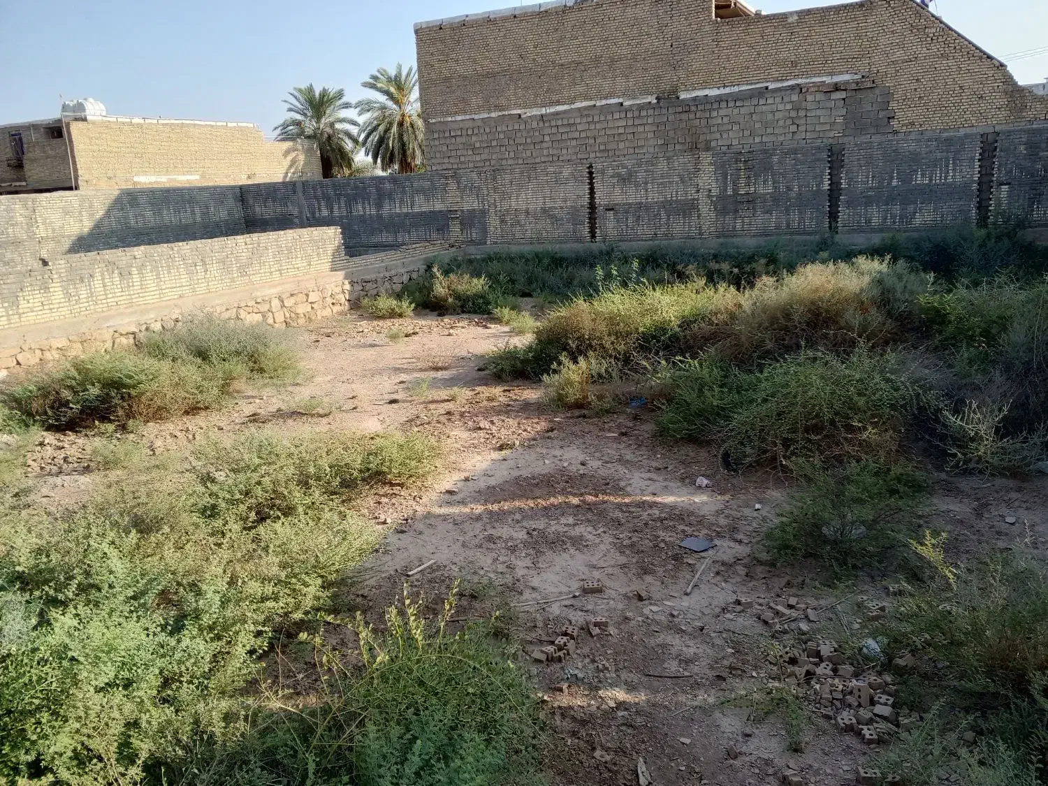 فروش زمین ام طمیر 511.13متر سند تک برگ|فروش زمین و ملک کلنگی|اهواز, اسماعیلیه|دیوار