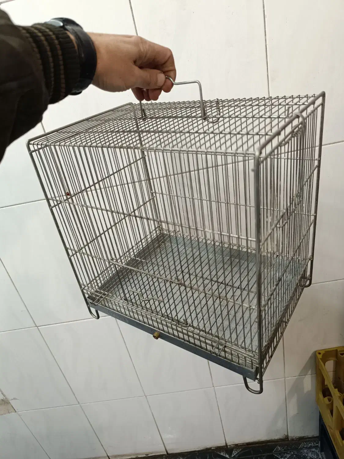 ۳ عدد قفس سهره فضله گیردار|لوازم جانبی حیوانات|مراغه, |دیوار