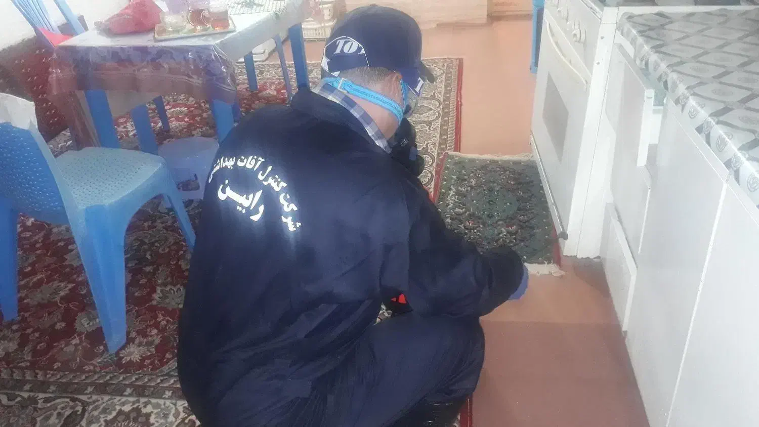 سمپاشی و کنترل افات بهداشتی ( سوسک ساس ...|خدمات نظافت|فاضل آباد, |دیوار