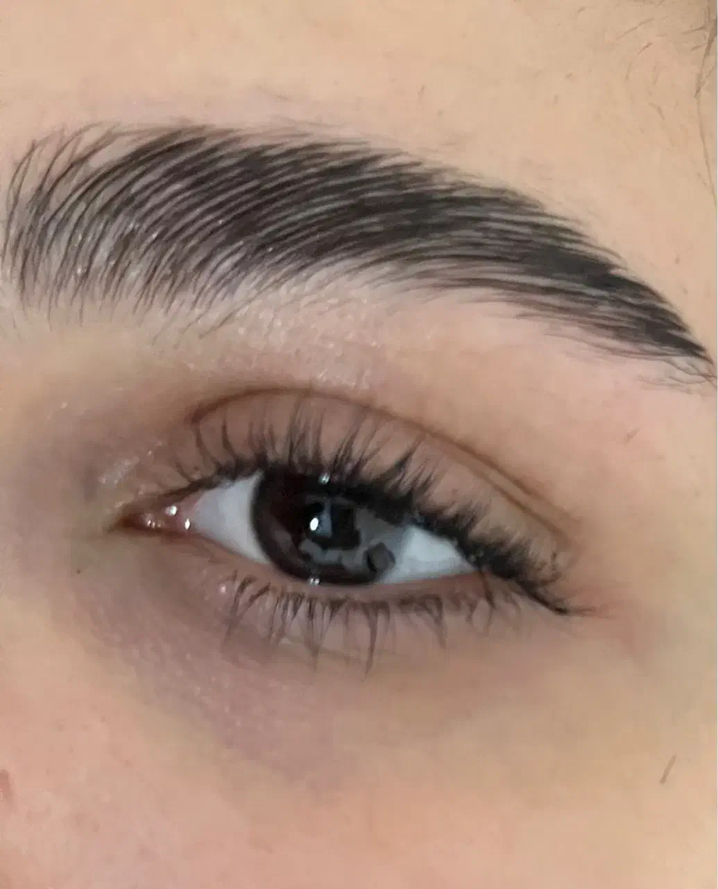 کاشت مژه|خدمات آرایشگری و زیبایی|خرمآباد, |دیوار