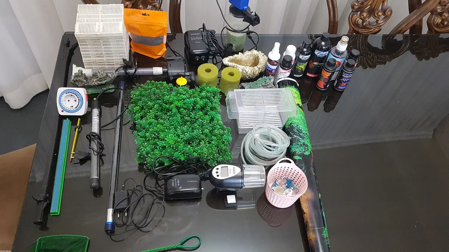 آکواریوم|ماهی|پرند, فاز ۶|دیوار