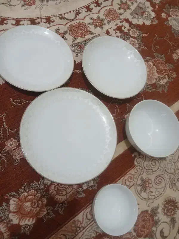 چینی درحد نو|ظروف سرو و پذیرایی|آبکوه, |دیوار