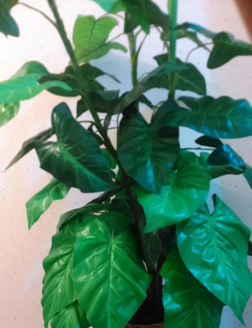 درختچه مصنوعی گل|گل مصنوعی|شیراز, کوزه گری|دیوار