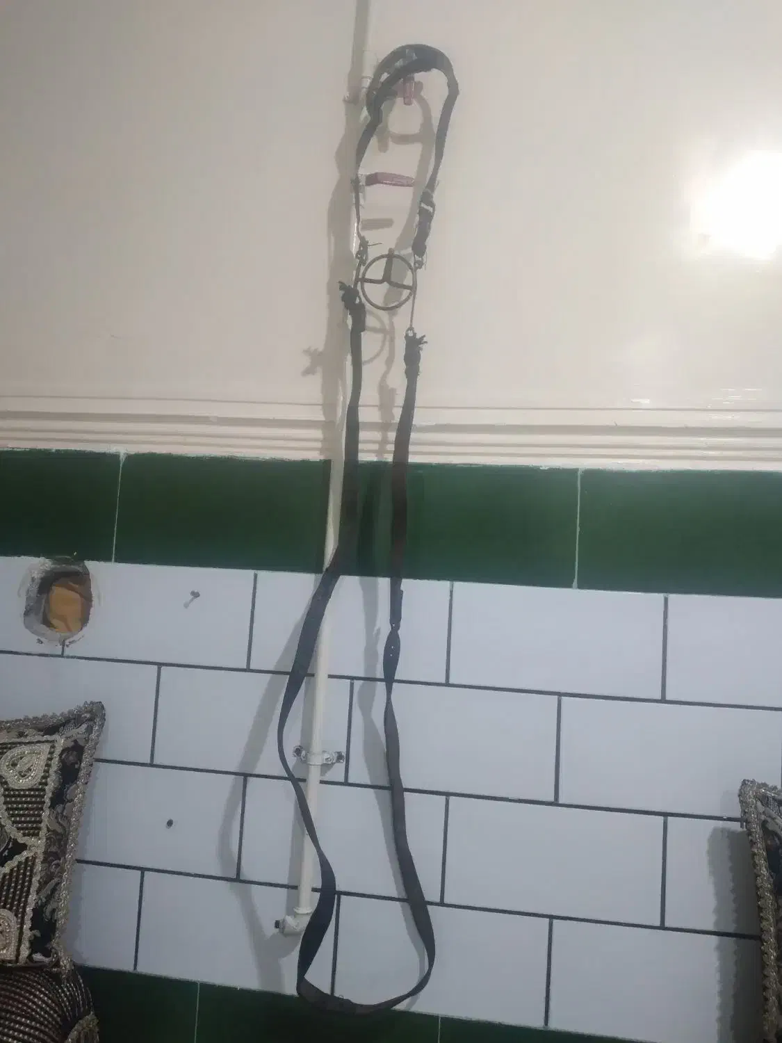 دهنه اسب|اسب و تجهیزات اسب‌سواری|دهدشت, |دیوار