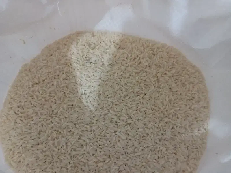 برنج هاشمی درشت دانه|خوردنی و آشامیدنی|آستانه اشرفیه, |دیوار