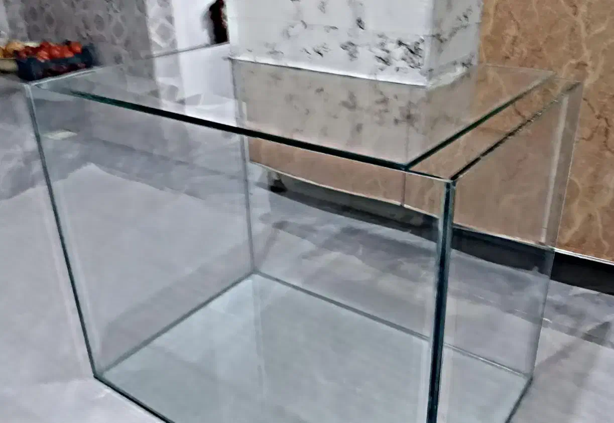 شیشه آکواریوم|ماهی|زیویه, |دیوار