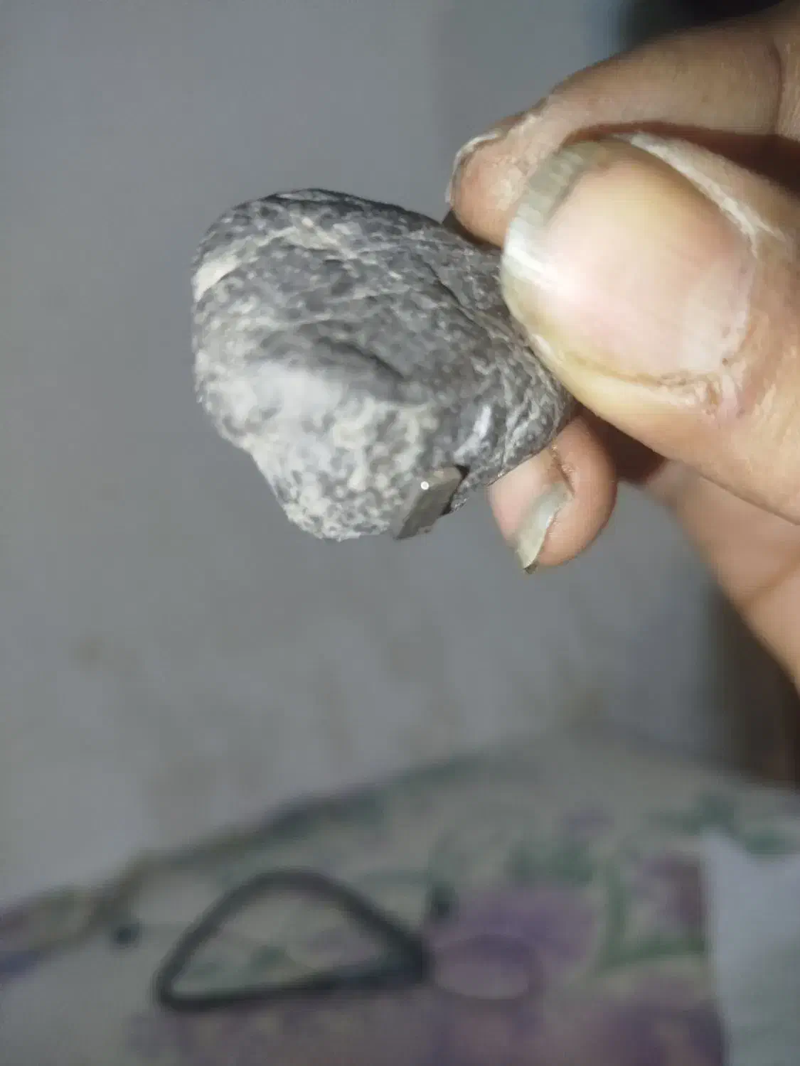 شهاب سنگ سیاه|کلکسیون اشیاء عتیقه|شوش, |دیوار